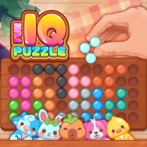Gra Fun IQ Puzzle